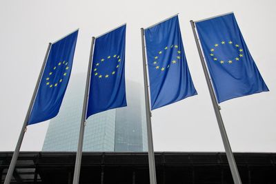 The AI Rally Will 'Likely' Lead To a Market Correction, An ECB Post Warns