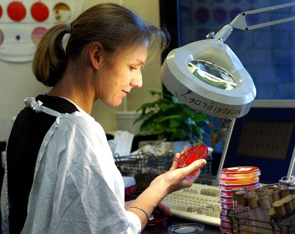 Michigan Clinics Ran Out of Cyclospora Tests at the Peak, and the State Could Not Trace the Source