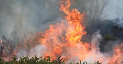 Media 'failing to report truth' on wildfires as climate change neglected in reporting