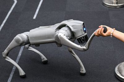 Unitree vs. Shein: How August’s big China IPOs show how AI hype is leaving e-commerce giants behind