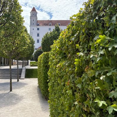 The low-maintenance hedge idea I picked up in Bratislava – it's drought-tolerant, great for wildlife and beautiful in the autumn