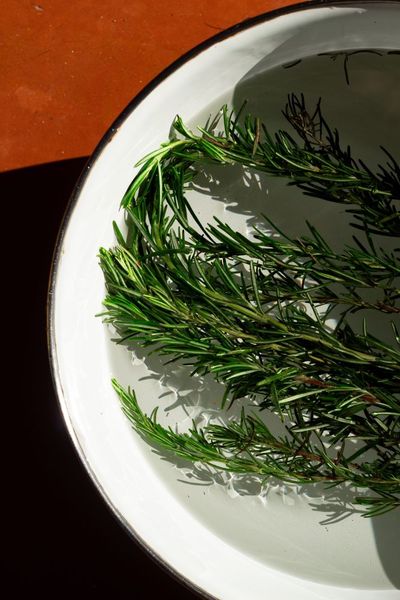 6 Grocery Items That Become Expensive Because You Throw Half of Them Away