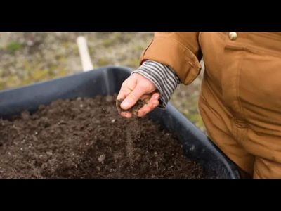 For thousands of years, Pacific farmers adapted crops to drought and changing weather; now Samoa and Tonga are combining that ancestral knowledge with modern science to rebuild soil, manage weeds and make farms more climate-resilient