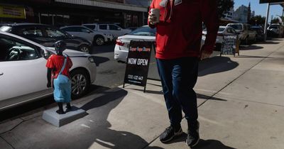 Art stoush: Maitland mayor's role in spotlight