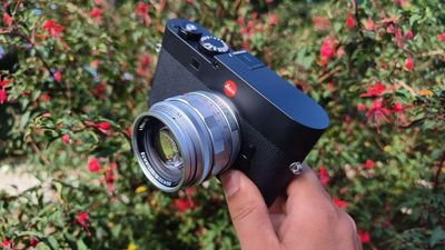Leica 50mm Summilux-M f/1.4 review: a classical lens for the modern age