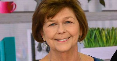 Nancy Guthrie Case Update: Pima County Sheriff Investigates Human Remains Found in Tucson Desert