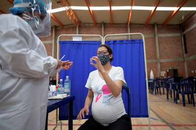 A Five Year Research Record on COVID Vaccines and Miscarriage Is Back in Dispute on Capitol Hill
