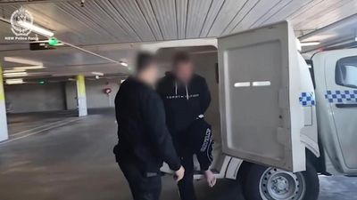 Licenced gun holders among hundreds charged in DV blitz
