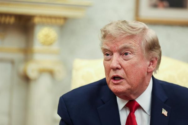 Trump reportedly casts mail-in ballot in Florida Republican primary