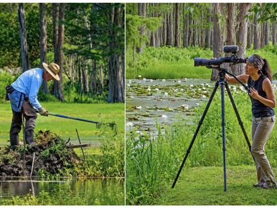 A Florida couple bought a 45-acre swamp to save it from development; 15 years later, 275 wood storks were nesting there in a thriving wildlife haven