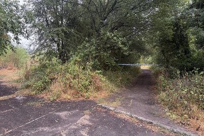 Man charged with manslaughter over death of man bitten by dog on footpath