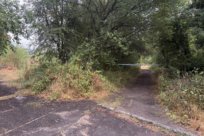 Men argued about ‘right of way’ before fatal Wakefield dog attack, court told