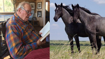 In 1986, a rancher saw hundreds of wild horses crammed into a government feedlot: Two years later, he created an 11,000-acre refuge