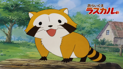 In 1977, Japan fell in love with a cartoon raccoon, and the resulting pet craze was followed by the spread of raccoons and damage across much of the country