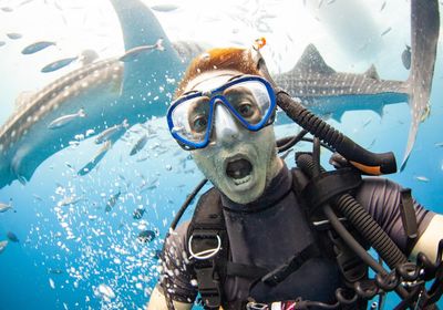 Shark selfies: why ‘finfluencers’ need to put their cameras away
