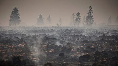 Firefighters pushing to 'definitively encircle' east Belgium wildfire, authorities say