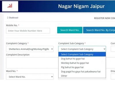 ‘Dog pagal ho gaya hai, pig bahut ho gaye hai’: Jaipur Nagar Nigam’s complaint portal uses conversational Hindi to report shelterless animals; goes viral