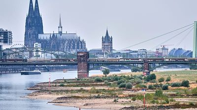 Rhine drought, heatwaves and deaths: Is it time for Germany to enshrine climate protection in law?