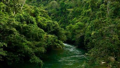 In the 1960s, a 17-year-old rancher nearly died burning a Colombian forest; he later lived in a cave and turned 7,400 acres into a wildlife refuge