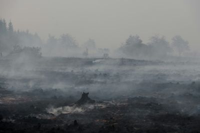 Firefighters push to ‘encircle’ Belgian wildfire