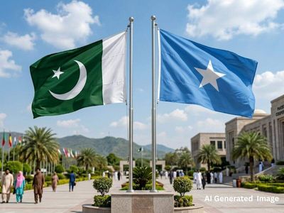 Why Pakistan is boosting defence ties with a nation known for its pirates