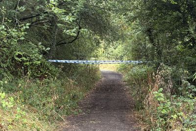 Owner’s dog fatally bit man on path after ‘right of way’ argument, court told