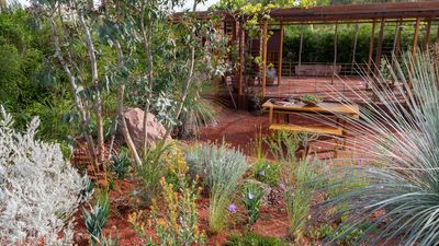 This Mediterranean Garden Color Trend Makes So Much Sense for Future Hot Summers — It Looks Good, and Is Easier to Look After, too