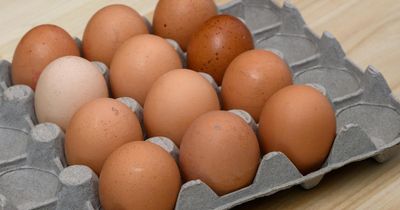 Multiple salmonella cases confirmed in Scotland amid deadly UK-wide outbreak