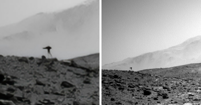 “Jellyfish” Spotted In NASA Mars Photo Sparks Frenzy As People Dig For Explanation