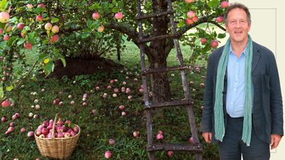 Monty Don reassures gardeners not to panic about fruit trees dropping 'left, right and centre' – it's actually a positive sign