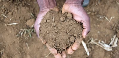 The soil’s early warning system: microbes can predict desertification before plants start to die