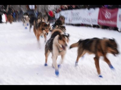 In 1973, Wisconsin teenager Libby Riddles moved to Alaska. 12 years later, she drove into a storm and became the first woman to win the Iditarod sled-dog race