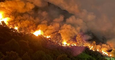 Do Scotland's 'genuinely tiny' emissions matter? Top scientist weighs in