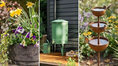 Rain is finally coming - 9 clever garden solutions that will help you capture every drop