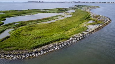 In 2006, engineers reused 250,000 cubic yards of dredged sand to restore Elders Point East in Jamaica Bay. 10 years later, the approach had restored 40 acres of wetlands and helped reverse marsh-island erosion