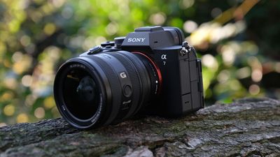Released at No. 1, the trendiest camera right now is easy to guess – but some names are suspiciously missing from Japan's top cameras