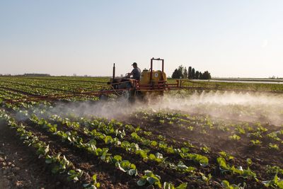 California Starts Phasing Out a Heavily Sprayed Farm Weedkiller Long Studied for a Possible Parkinson's Link