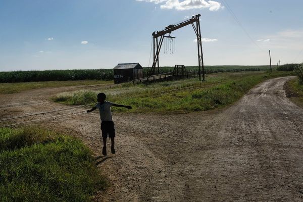 Watchdog calls for US import ban as forced labor persists in Dominican sugarcane fields