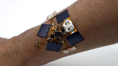 This wearable patch will buzz your arm when it detects poisons, and it could one day save your life