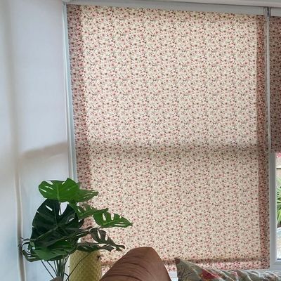 It was going to cost me £1,000 to replace my conservatory blinds — here's how I've given them a new look for just £65