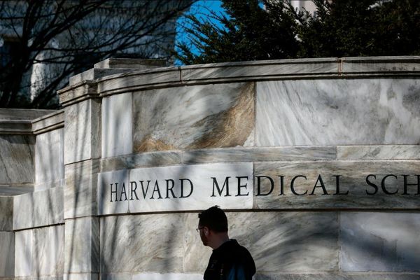 Harvard to pay $53m over theft and sale of human remains from medical school