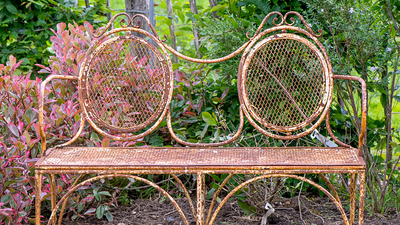 Forget ketchup — this pantry staple is the secret to removing rust from garden furniture
