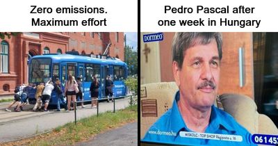 77 Posts And Memes That Show Why People From Eastern Europe Are Built Different (New Pics)