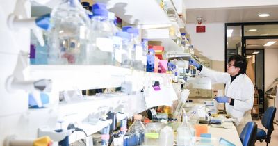 Surge in demand drives shortage of pneumonia, shingles medicines
