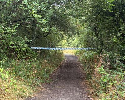 Man appears in court after dog-bite death in Wakefield