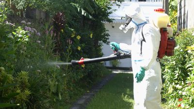 Southwest France steps up mosquito control after 20 chikungunya cases