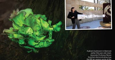 A handful of Hunter experiments you can do at home for National Science Week