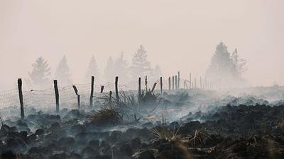 Belgium wildfire 'encircled' overnight but situation still 'complicated,' officials say