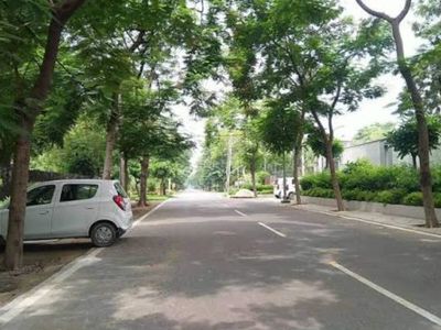 Sainik Farm’s fate hangs in limbo, so Delhi HC tells authorities ‘high time to decide’