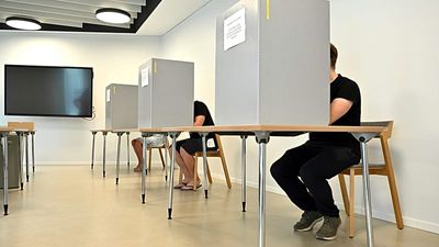 Saxony-Anhalt election: who is behind "tactical voting"